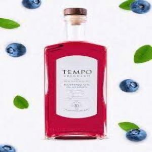 TEMPO ARANDANO BLUEBERRY GIN